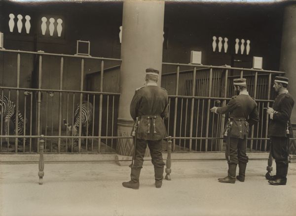 Soldiers view the zebras in the Antwerp Zoo.