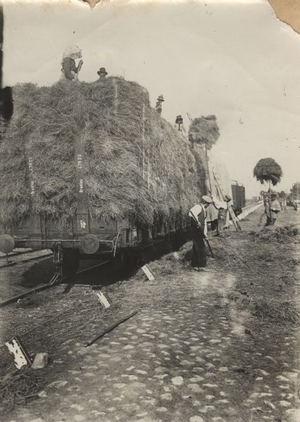 German train shipping hay to the front in East Prussia.