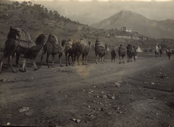 Camel caravan through the Wild Taurus Mountains. 