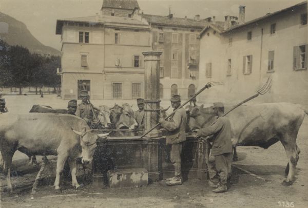 Soldiers gathering around a fountain in Trient with their cattle. 