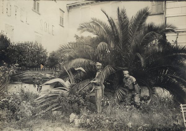 In a battle zone under the palms. 