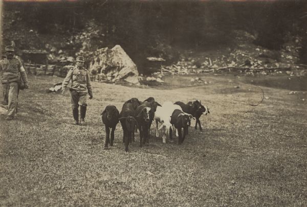 Tiroler Standschützen with his flock of goats.