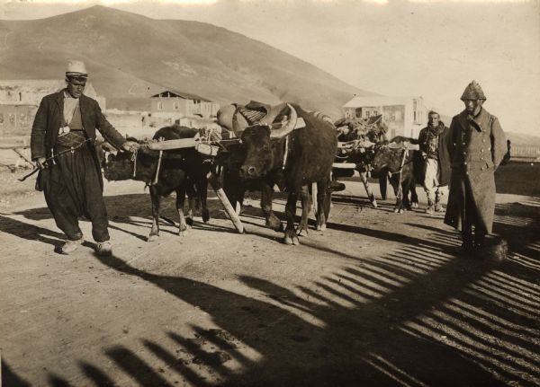 Duties of the Turkish Landsturm (reservists). Moving provisions with wagons pulled by water buffalo. 