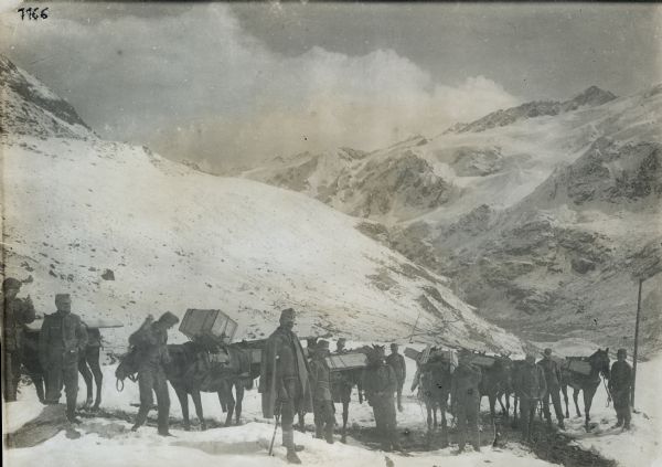 Elevation of 3600 meters. Munitions column, on pack mules, on the way to a fortified position on the glaciers. 