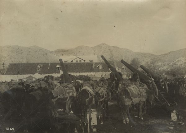 Captured Montenegran Artillery | Photograph | Wisconsin Historical Society