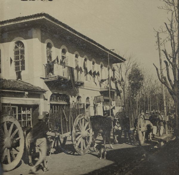 Oxcarts for transporting military supplies to Albania, in Skutari.