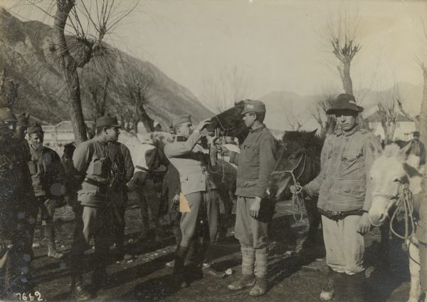 Military veterinarian treating a horse on the Montenegrin battlefront.