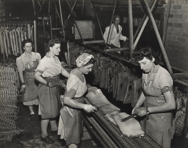 Slightly elevated view of four women standing on both sides of a conveyor belt. Two women are using knives and are holding large pieces of meat, while the other two women are holding hooks for hanging the slabs of meat. Behind the women are slabs of meat hanging on a rack. 