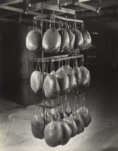 Packaged ham roasts are hanging from strings on a metal rack suspended from the ceiling.