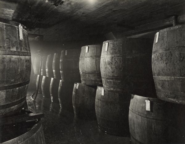 View of a room with large wooden barrels stacked and arranged in rows. Between the rows, a series of pipes are coming down from the ceiling. A hose along the floor is attached to a pipe near the ceiling, and the floor is wet.
