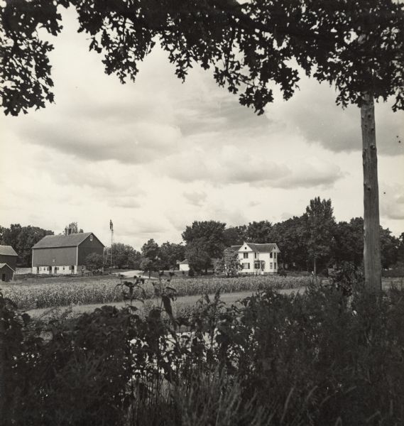 View across fence through trees towards fields and farm buildings. 