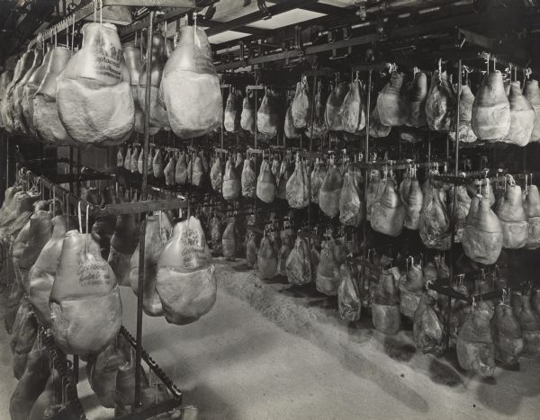 A room full of hams hanging to cure from metal racks suspended from the ceiling. There is salt on the floor. The hams are stamped with "Oscar Mayer Approved, Tender Process."