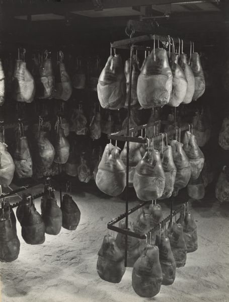 View of a room of hams hanging on metal racks suspended from the ceiling. Salt is on the floor. The hams are stamped with "Oscar Mayer Approved, Tender Process."