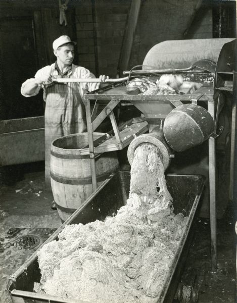View towards a male employee wearing a hat and rubber apron. He is using a pitchfork to put meat through a meat processing machine, which is emptying into a large bin in the foreground.