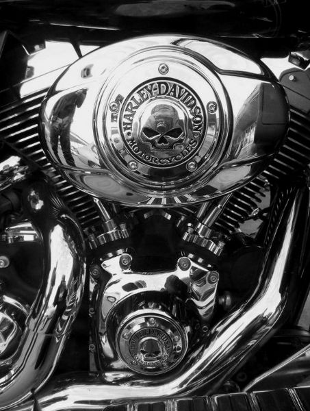 Close-up view of the engine and ignition circuit breaker on a Harley-Davidson motorcycle. Both are decorated with the Harley Davidson Death's Head logo. There is a reflection of the photographer on the left.