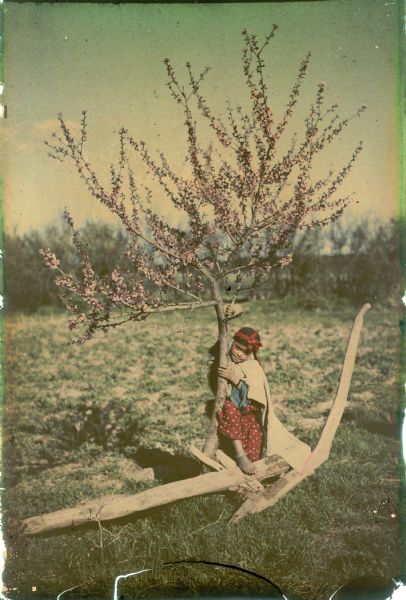 A young girl is posing with a wooden plow while holding the trunk and a branch of a flowering tree. She is wearing a dress, cape, head scarf, and an ankle bracelet.