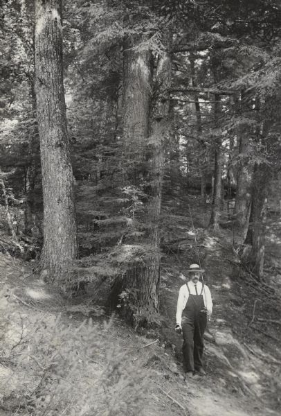 Standing under tall trees on a hill, a man is holding a long fishing pole and a container. He is wearing overalls, white shirt, tie, and hat. There is a forest in the background. 

