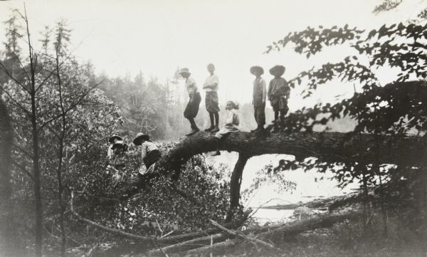 Children, dressed in casual clothes, are walking across the trunk of a fallen tree on the shore of Middle Lake. Alfred Holt is the second child from the left. The girl who is sitting on the tree trunk is wearing a jumper. The fourth boy from the left is wearing overalls. There are three women in hats on the far left. The shoreline is lined with trees. 

 