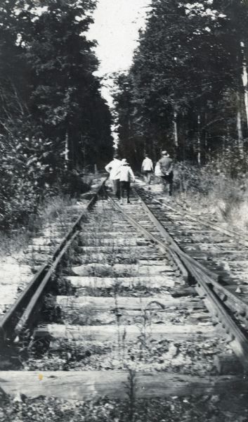 A group of people are walking away down the railroad tracks in search of blueberries. A pine and hemlock forest is on either side of the tracks. Caption reads: "Blueberry Trip." One set of railroad tracks is branching off to the right in the foreground.

