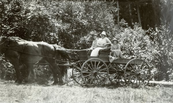 On a sunny day, Albert Rhode is driving the horse-drawn wagon, with Mrs. Rinka is sitting beside him. Eva is in the back of the wagon, sitting behind the front seat. Left to Right: Albert Rhode, Mrs. Rinka, and Eva. Trees are in the background. Caption reads: "Albert, Mrs. Rinka, and Eva."