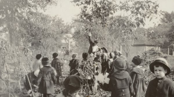 A Woodward Avenue School kindergarten teacher is showing a tree leaf or seed to her students during a walk in a natural area. Most of the students are looking up at the tree that the teacher is describing. A few students are holding woven baskets. There are several buildings in the background and some rows of plants on the left. One boy is standing in the foreground on the right, facing the camera.



