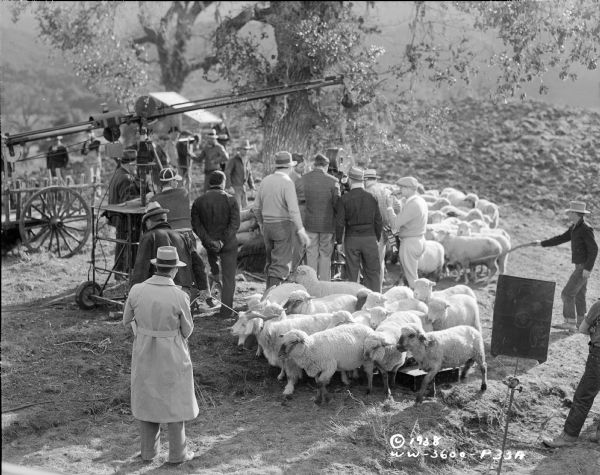 Elevated view of a herd of sheep surrounding a film crew, including director William Dieterle, as they are filming a scene from the 1938 film "Blockade." A microphone is dangling above a movie camera, mostly hidden by the surrounding crew.