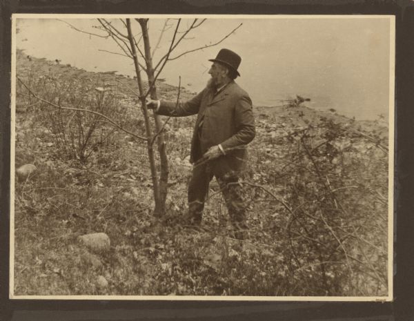 George Brumder (1839-1910) grasping one fork of a small tree growing on the shore of Pine Lake. He is wearing a suit and hat.  