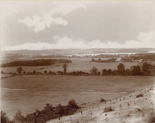 An elevated view of a gently rolling landscape with cows grazing in the middle distance. At right is a farmhouse and outbuildings. Young trees have been planted on the slope in the foreground.  North Lake is seen in the background. On the reverse of the photograph is written, "Northwest view from George Brumder's tower at Pine Lake built in 1892. Note in foreground George's clover fields, in distance the west portion of North Lake."