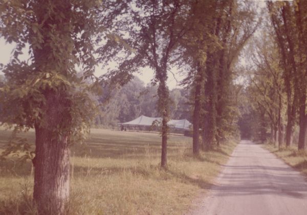 View towards a large tent with open sides standing in a field along a tree-lined lane.