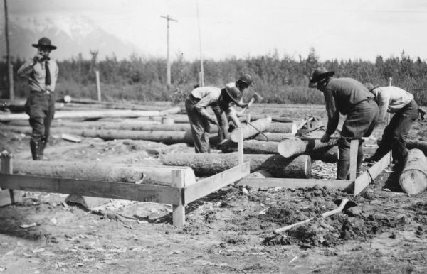 One of two images under the headline: "Alaskan Pioneers Start First Log Building, Clear Townsite." Original caption for the top photograph reads: "The Minnesota-Michigan-Wisconsin colony at Palmer, Alaska, faces a serious problem in getting settled before winter arrives and these pictures show that construction work is being rushed as fast as conditions make possible. Above, the Alaskan pioneers are shown starting the construction of the colony's first log building — an office for the construction division at the construction camp." Caption with negative reads: "Start of construction first log building of colony, to be an office for construction division. (Written - it's at construction camp, not townsite)."
