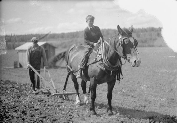 Caption with negative: "Lawrence Larson from International Falls, Minn., and Henry Jensen, Little Fork., Minn., cultivating a community garden at Camp 2. Young Larson is on the horse." Lawrence is riding a horse that is pulling a plow, and Henry is pushing the plow.