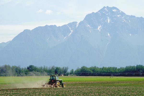 Man driving a tractor in a field, with the Chugach Mountains in the distance.