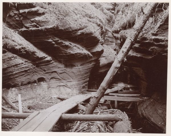 Wooden boardwalk in Cold Water Canyon.