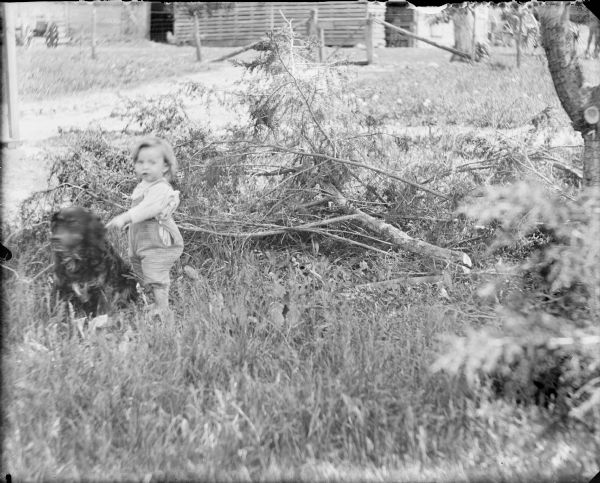 A toddler identified only as "Cheney's little boy" is posing pointing a finger at a dog sitting in front of him. There is a branch on the ground behind the boy which has been cut from the tree at right. A corn crib or granary is in the background.