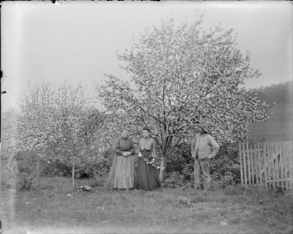 Mae (Margaret) von der Sump is holding a branch of blossoms as she poses with her mother, Bertha, and father Frank under an apple tree in full bloom. There is a fence at right.