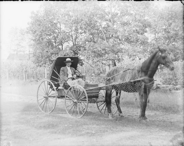 A young man identified only as Jim is sitting in a buggy with a folding top. The man is wearing a suit and tie, and has a lap robe across his knees. A single horse is hitched to the buggy. The horse is wearing a fly net.
