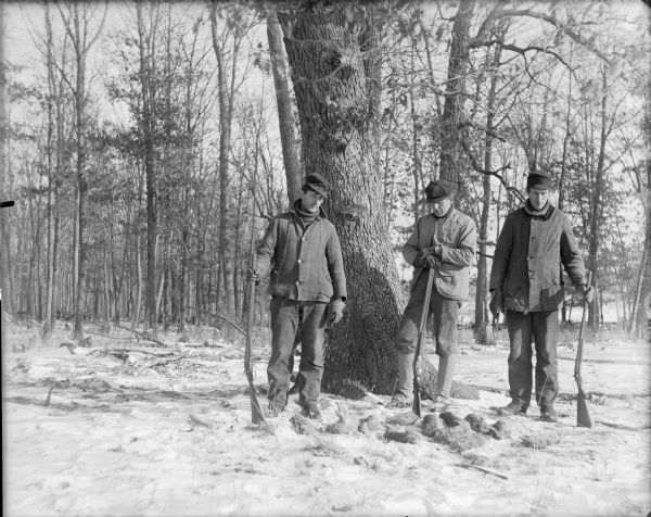Will von der Sump, center, is standing with two other men identified as Frank and August, in front of a large tree in an open wooded area. The men are holding shotguns and there are a dozen dead rabbits on the ground in front of them. There is snow on the ground. The men are wearing coats and hats, and Will is wearing gaiters.