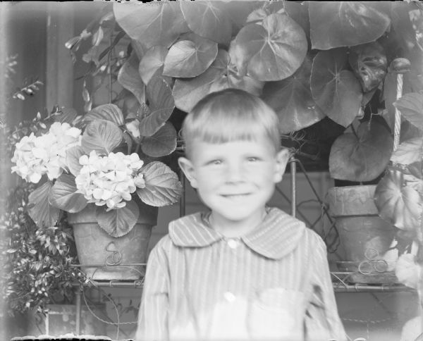 A young boy is smiling broadly while posing in front of a wire plant stand holding an abundance of foliage plants and a blooming potted hydrangea.