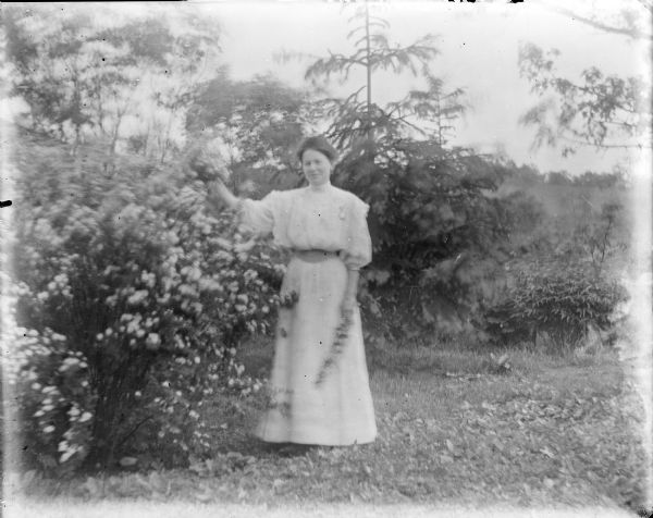 A young woman identified as Belle is standing beside a flowering shrub. She is wearing a light-colored dress and is holding a branch with blossoms on it.