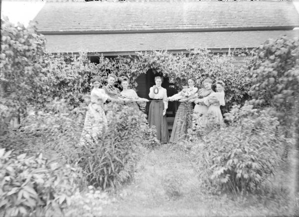 Maggie von der Sump, center, is holding a ring sausage as two teams of three women each pull on opposite ends of a thin rope. Maggie's sisters Leta, far left, and Hattie, second from right, are on opposing teams. The other women are identified on the negative envelope as Jessie Underwood and the "three Sims girls." They are posing in front of the Von der Sump farmhouse. The front porch is nearly hidden by a flowering vine, and there are clumps of lilies and other blooming plants in front of the women.