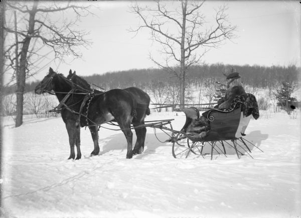 Will von der Sump sitting in a small sleigh with a glossy finish. He is bundled in a fur coat with a high collar, and is wearing a cap. There is a fur lap robe at his feet and a carpet over the seat of the cutter. A matched pair of horses with braided and pinwheeled tails is harnessed to the cutter. There are sleigh bells around the horse in the foreground.