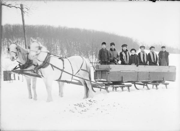 The seven children of August and Kate Hernkind posing in the box of a wagon sleigh pulled by a matched team. The children are dressed warmly and there is snow on the ground. George is standing at far left next to his brother Henry. At far right is Mary. Nellie is standing in front of her older sisters (not necessarily in order) Louise, Anna and Katie. There is a wooded hillside in the background.