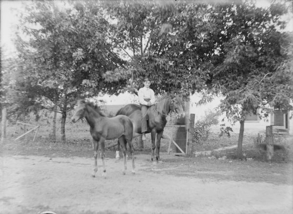 View across road towards a smiling young man posing riding bareback on a horse as a foal is standing in the foreground nearby. The indistinct figure of a woman (face obscured by horse) is seen on the far side of a gate near a path leading to the door of a house.