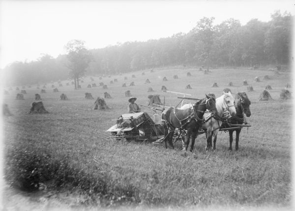 Frank von der Sump is driving a three horse team which is pulling a grain harvester and binder. There are sheaves of rye in the background. Trees cover the hillside beyond the field.