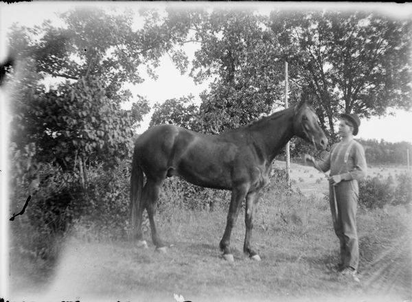 A young man, possibly Fred von der Sump, posing holding the lead of a horse. The man is wearing work pants, an undershirt and suspenders. There are shocks of grain in the field in the background.