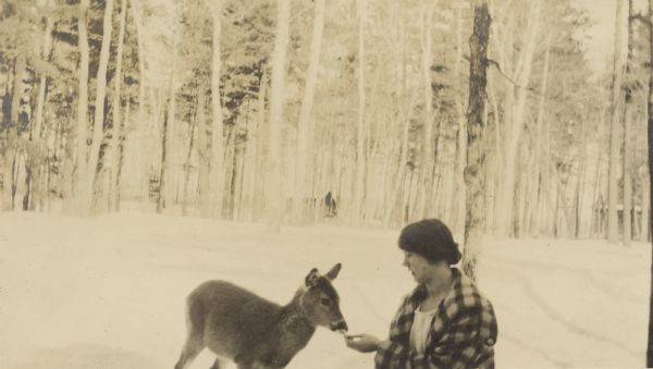Girl feeding a deer in a clearing. Snow is on the ground, and a stand of trees is in the background. Caption in album reads: "The Deer (dear)."