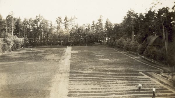 Elevated view of the nursery. Men are standing among the plantings. The barn is on the right.