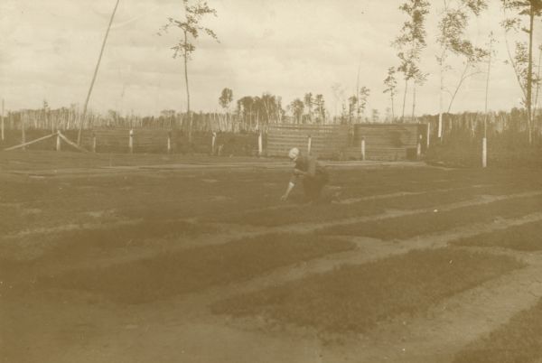 A man is crouching and working on plantings at the nursery. A fence is in the background.