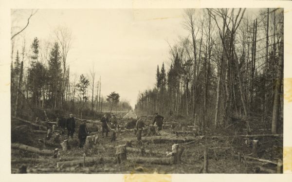 View towards a group of men who appear to be clearing trees. There is a road directly behind them.