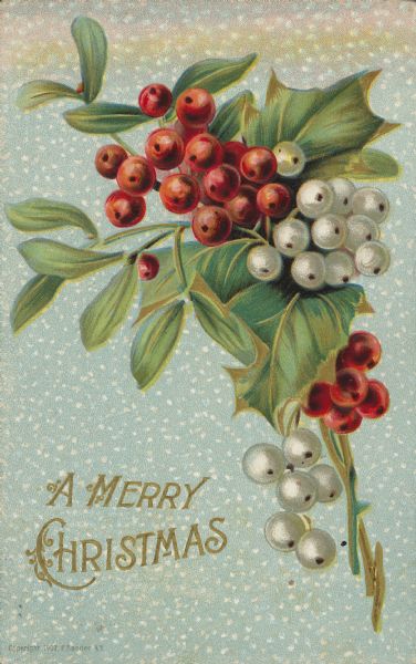 Christmas postcard with sprigs of mistletoe and holly intertwined on a light blue background with snow. Lightly embossed. Text on front in mrtallic gold reads, "A Merry Christmas." Chromolithograph.